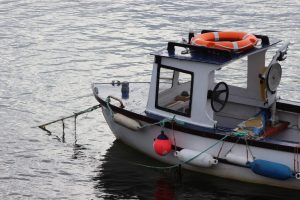 Lire la suite à propos de l’article Debuter la peche : comment bien s’y prendre ?